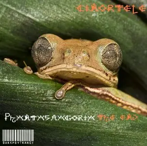  Cinortele - Phantasmagoria The End