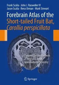 Forebrain Atlas of the Short-tailed Fruit Bat, Carollia perspicillata (Repost)