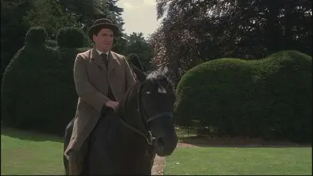 Black Beauty (1994)