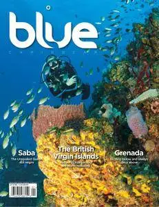Blue Magazine - January 01, 2012