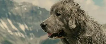 Belle e Sebastien (2013)