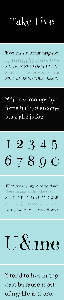 Take Five Font Family