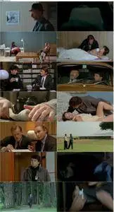Sweetheart (1992) Toutes peines confondues