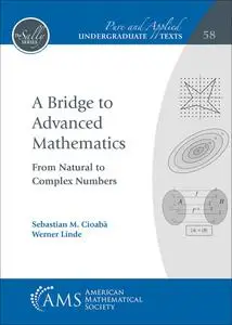A Bridge to Advanced Mathematics (Sally: Pure and Applied Undergraduate Texts)