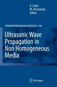 Ultrasonic Wave Propagation in Non Homogeneous Media (repost)