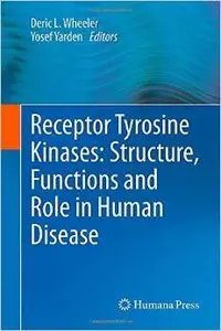 Receptor Tyrosine Kinases: Structure, Functions and Role in Human Disease