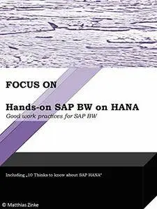 Hands-on SAP BW on HANA: Good work practices for SAP BW (Focus On Book 2)