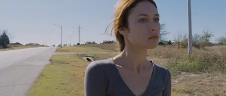To the Wonder (2012)