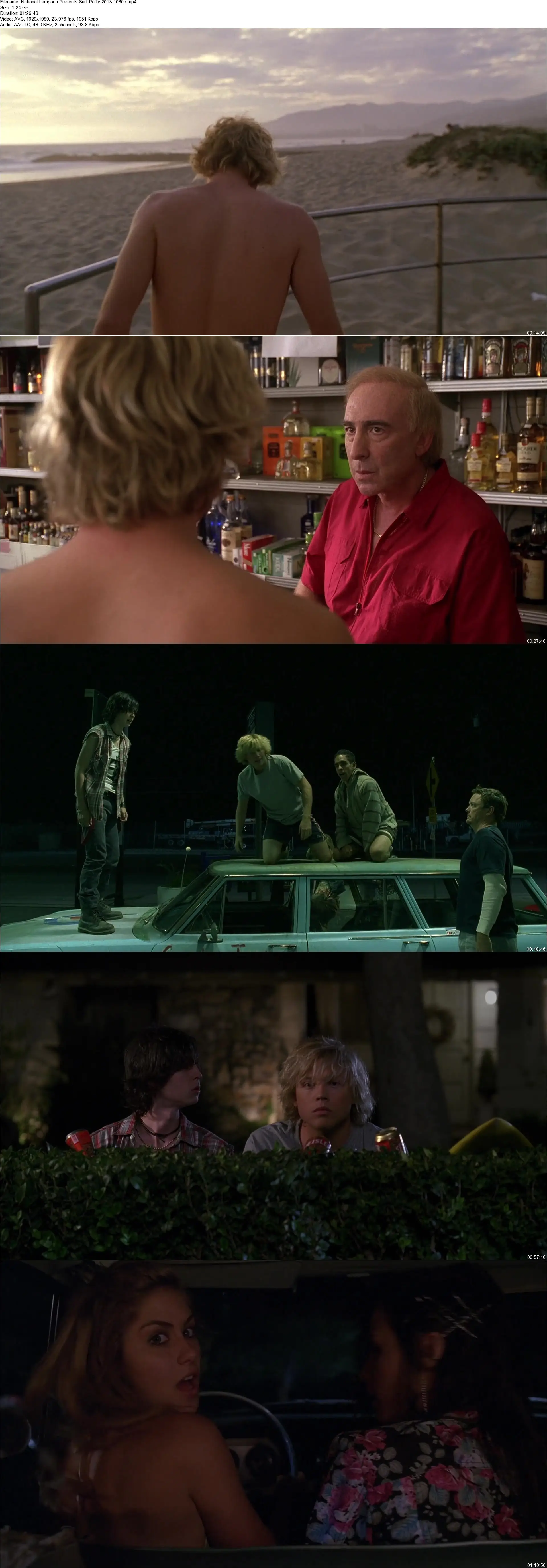 National Lampoon Presents: Surf Party (2013)