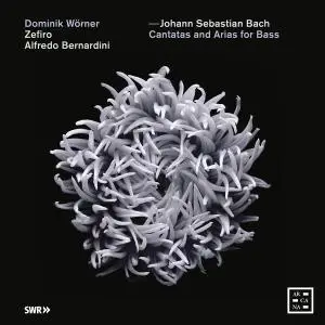 Alfredo Bernardini, Zefiro & Dominik Wörner - Bach: Cantatas and Arias for Bass (2019) [Official Digital Download 24/48]