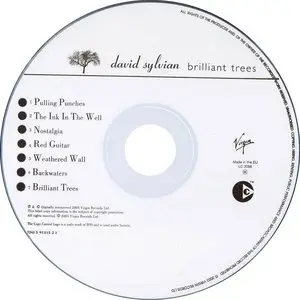 David Sylvian - Brilliant Trees (1984) {Reissue 2006)