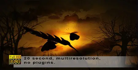 Morning Opener - Project for After Effects (Videohive)