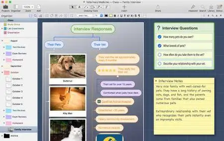 Curio 10.2 Mac OS X