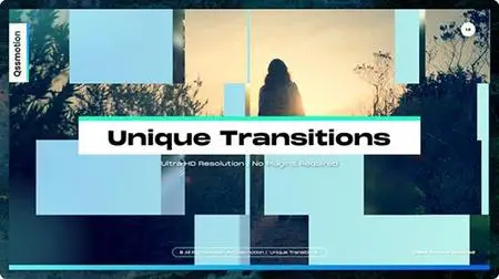 Unique Transitions 34217012