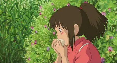 Sen to Chihiro no kamikakushi (2001)