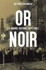 Matthieu Auzanneau, "Or noir : La grande histoire du pétrole"