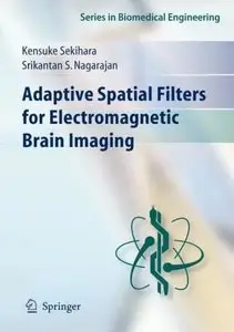 Adaptive Spatial Filters for Electromagnetic Brain Imaging (Repost)