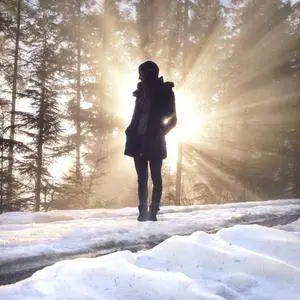 Introduction to Mobile Photography: Capturing on the Go