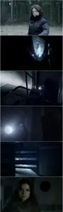 Entity (2012)