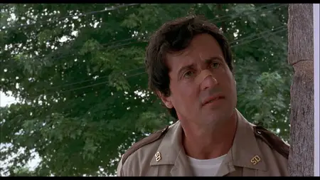 Cop Land (1997) [Director's Cut]