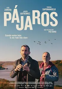 Pájaros / Birds Flying East (2024)