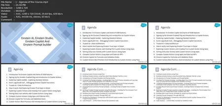 Salesforce Einstein Ai: Novice To Expert In Einstein Copilot