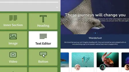 Custom Theme Building with Elementor Pro