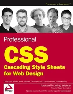 Professional CSS / Cascading Style Sheets for Web Design