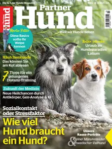 Partner Hund - März 2025