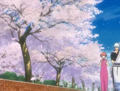 Gintama (2006 S04E18 168 The Human Body Is Like a Little Universe CBT