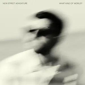 New Street Adventure - What Kind Of World? (2025) [Official Digital Download 24/48]