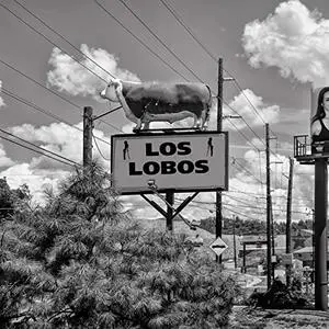 Los Lobos - California Live '83 (2020)