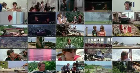 Pierrot le Fou (1965) [REMASTERED]