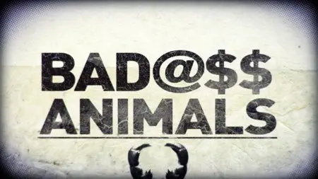 National Geographic - Wild: Badass Animals (2013)