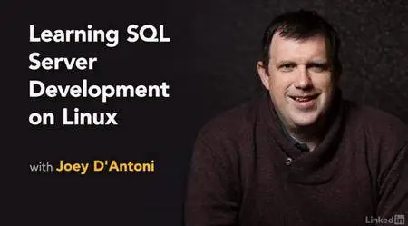 Learning SQL Server Development on Linux