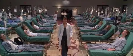 The Plague (2006)