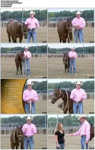 Clinton Anderson - Horsemanship 101