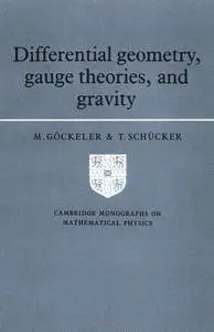 Differential Geometry, Gauge Theories, and Gravity