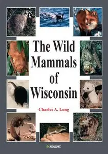 Wild Mammals of Wisconsin