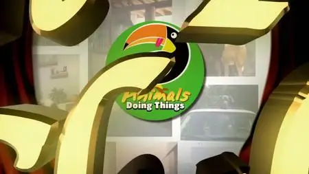 Animals. S02E02