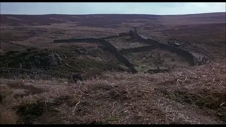 Wuthering Heights (1970)