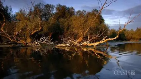ORF - Danube: Europe's Amazon (2012)