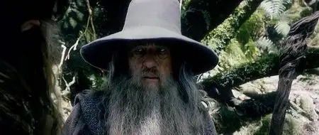 The Hobbit: An Unexpected Journey (2012)