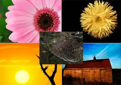 New HQ Nature Wallpapers