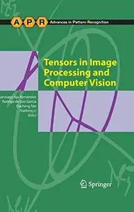 Tensors in image processing and computer vision