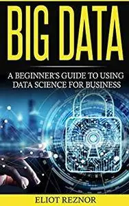 Big Data: A Beginner's Guide To Using Data Science For Business