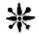 «Storyology / Essays in Folk-Lore, Sea-Lore, and Plant-Lore» by Benjamin Taylor