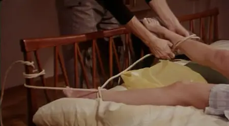 [18+] Exponerad (Exposed) (1971)