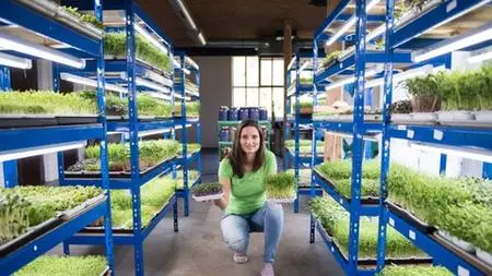 Microgreens MasterClass Business Approach