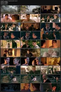 Vampire Boys (2011) 